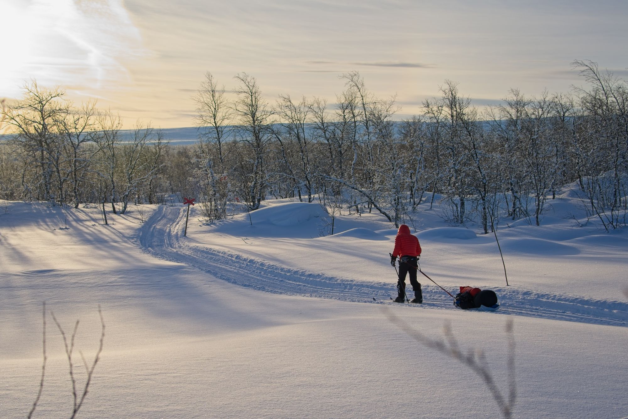 Dusk over a snow-covered track in northern Sweden, cabin lights in the trees